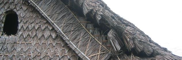 Mary Jane Murray banner