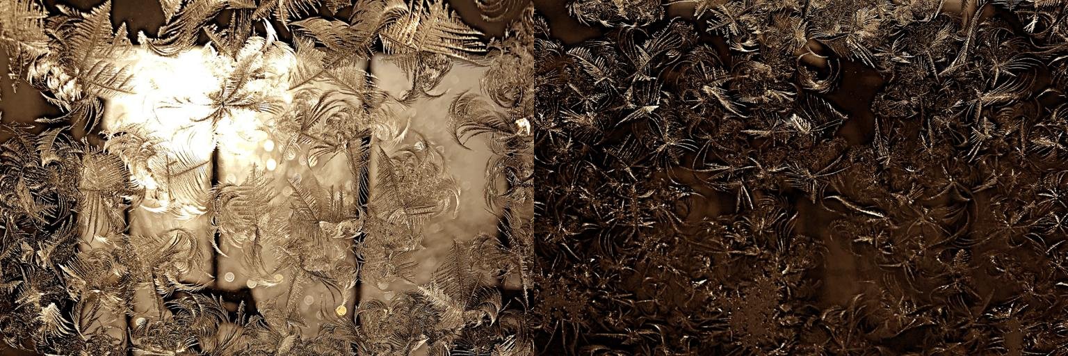 Damian Counsell banner