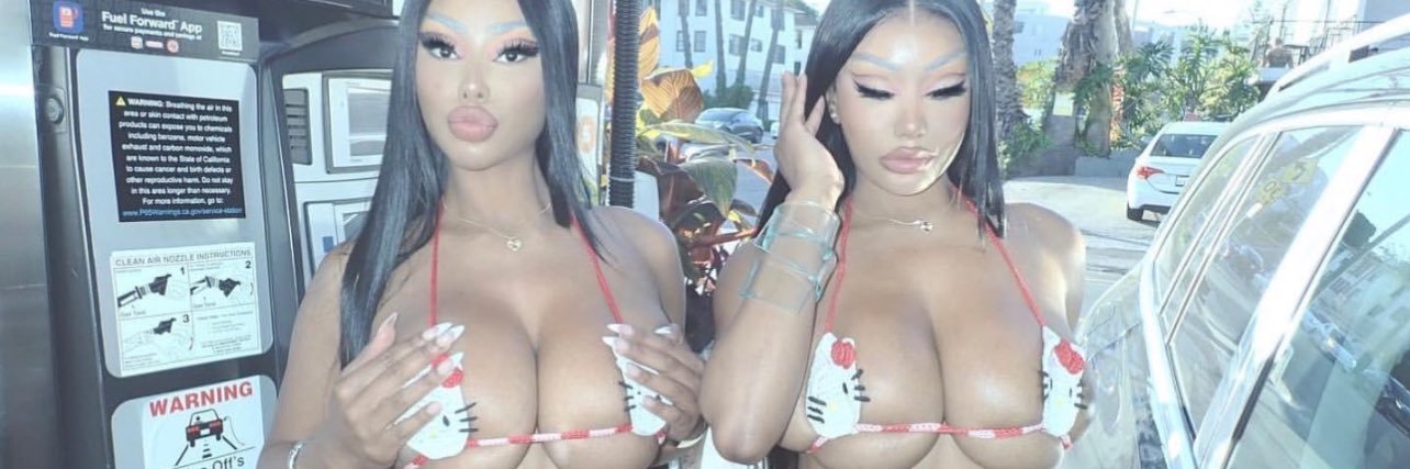 _haitianbarb's profile banner image