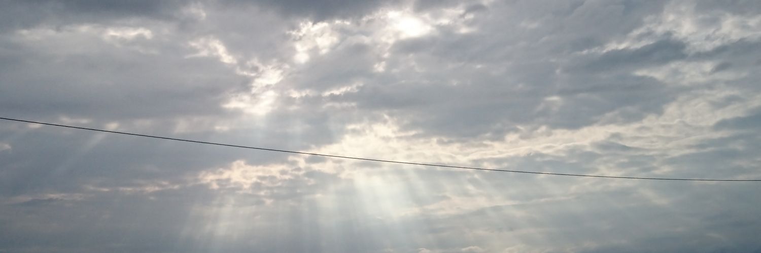 マーラ🐰 banner