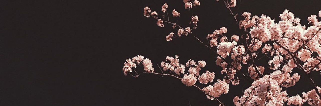 M1CKEY77's profile banner image