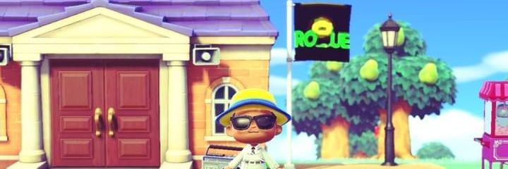 DoguinhoDasNovelas banner