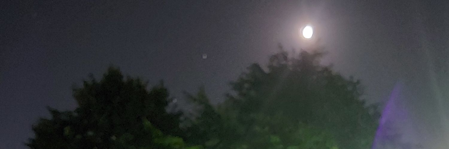 MontenegroRenee's profile banner image