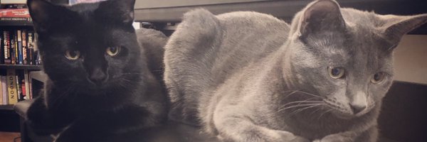 Victrix Profile Banner