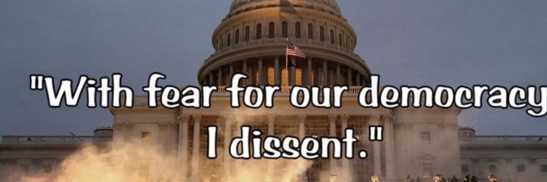 Rebecca N -LOCK UP YOUR DAMN GUNS! banner