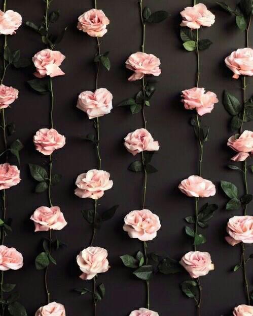 oldsweaterswift's profile banner image