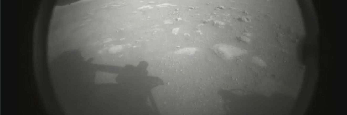 Federico Capucci banner