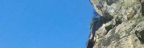 BlueOrcaaa's profile banner image