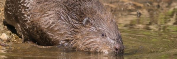 jaysteph1988 Profile Banner