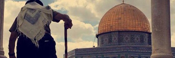 majdiroz's profile banner image