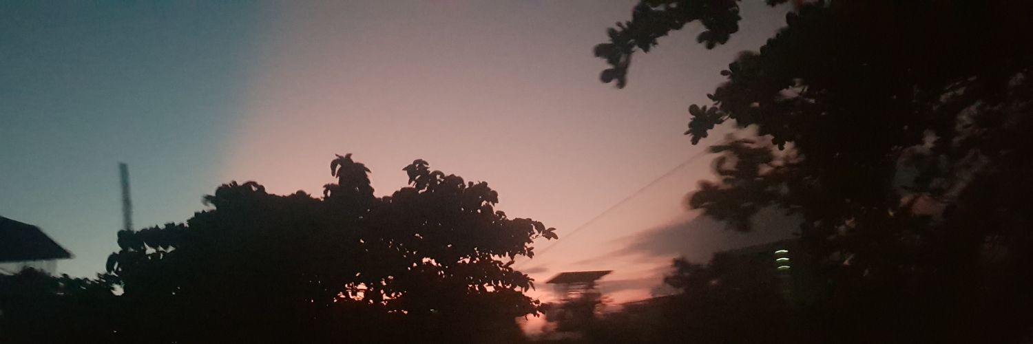 ilovesadee's profile banner image
