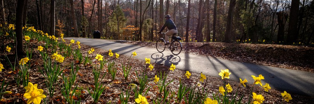 Reynolda House banner