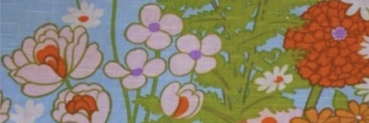 EmmaDicea's profile banner image
