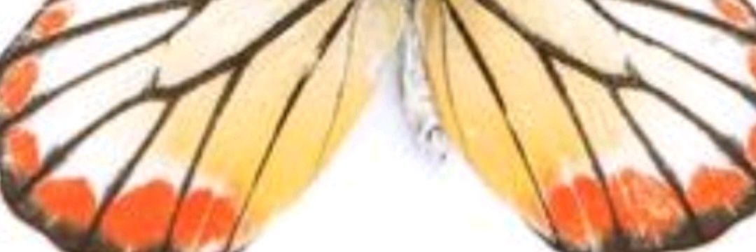 Jetsabel_M's profile banner image