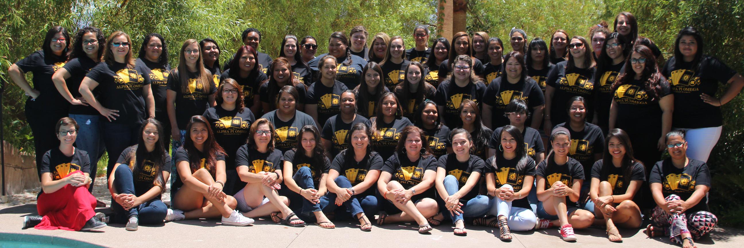 Alpha Pi Omega banner