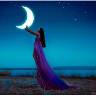 Miss JSY 🐸 banner