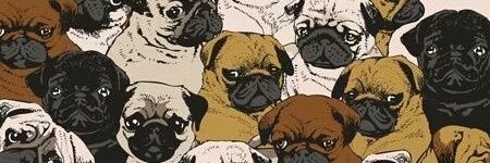 B1AMRQSS's profile banner image