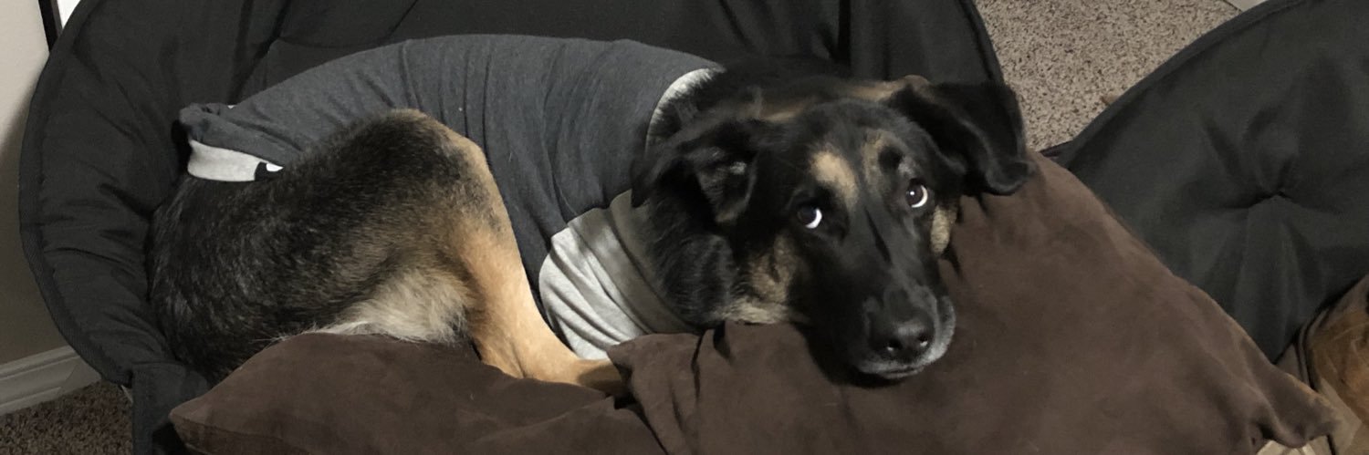 Catalina Amórtegui banner