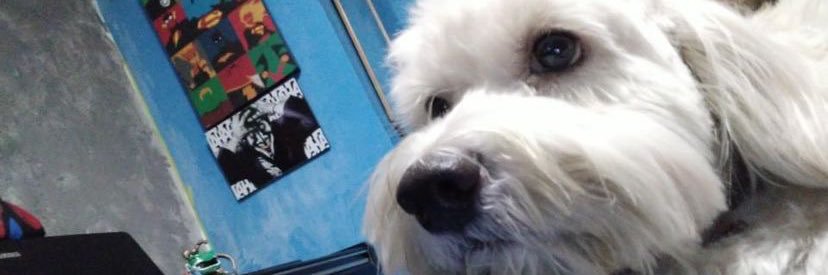 EliizabethLeon's profile banner image