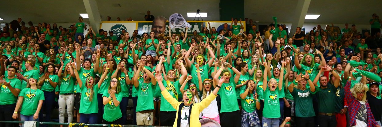 PLNU Green Sea banner