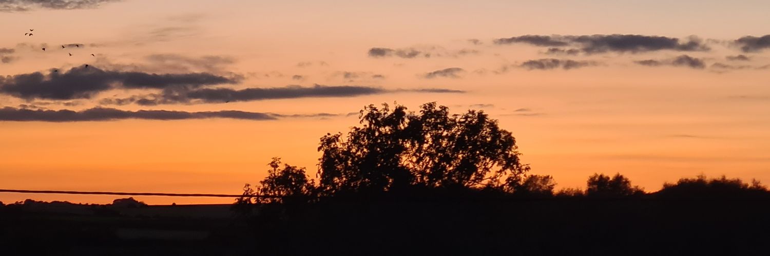 Wordsmithsibbo's profile banner image
