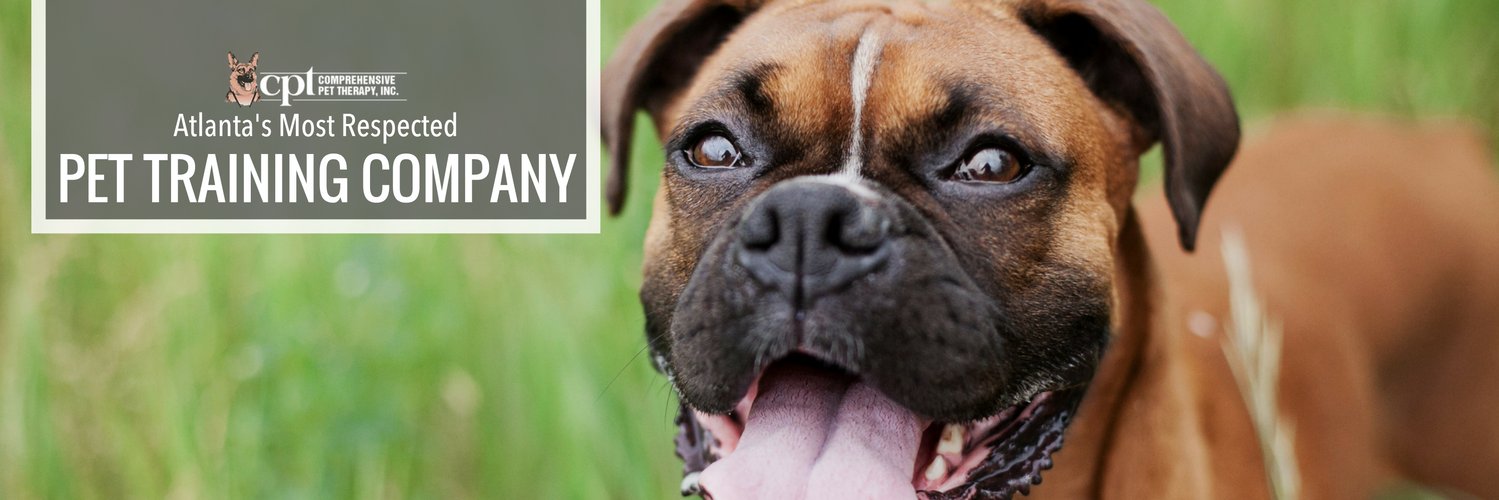 CPTPetTraining's profile banner image