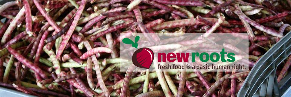 New Roots banner