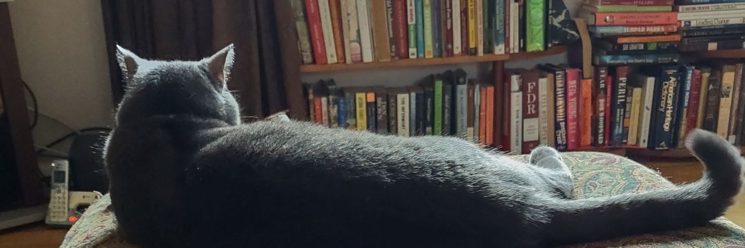 LisaTesle's profile banner image