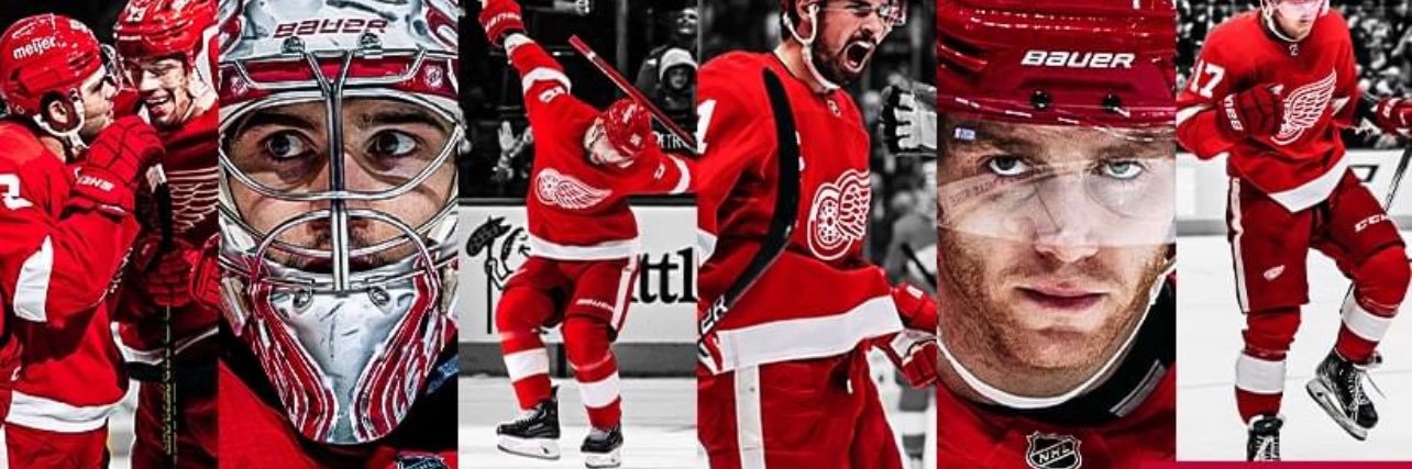 Detroit Depression Wings banner