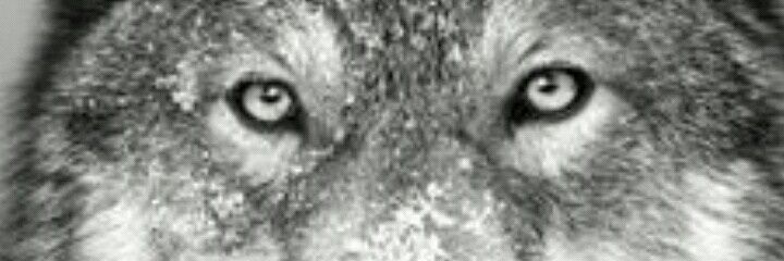ash88_k's profile banner image
