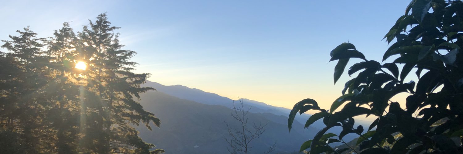felurjas's profile banner image