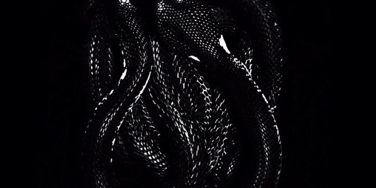 MALINTENTchi's profile banner image