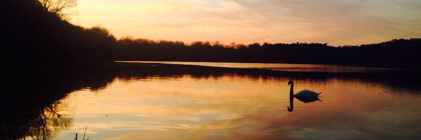 Lottie Louise banner