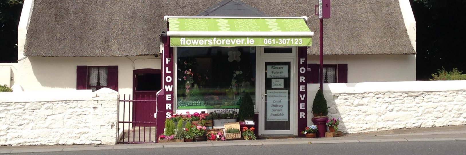 flowers4ever_ie's profile banner image