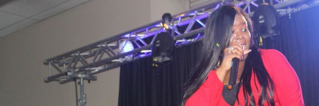 RavenSalve's profile banner image