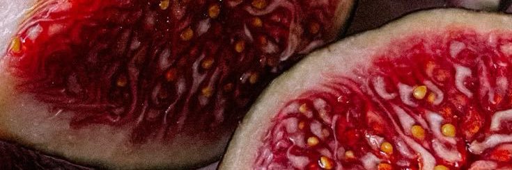 WhimsicalMrFox's profile banner image