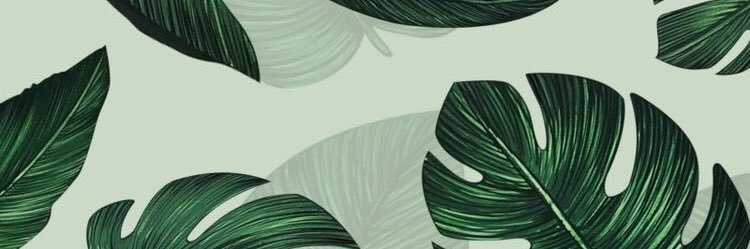 NotoriousIzzy's profile banner image