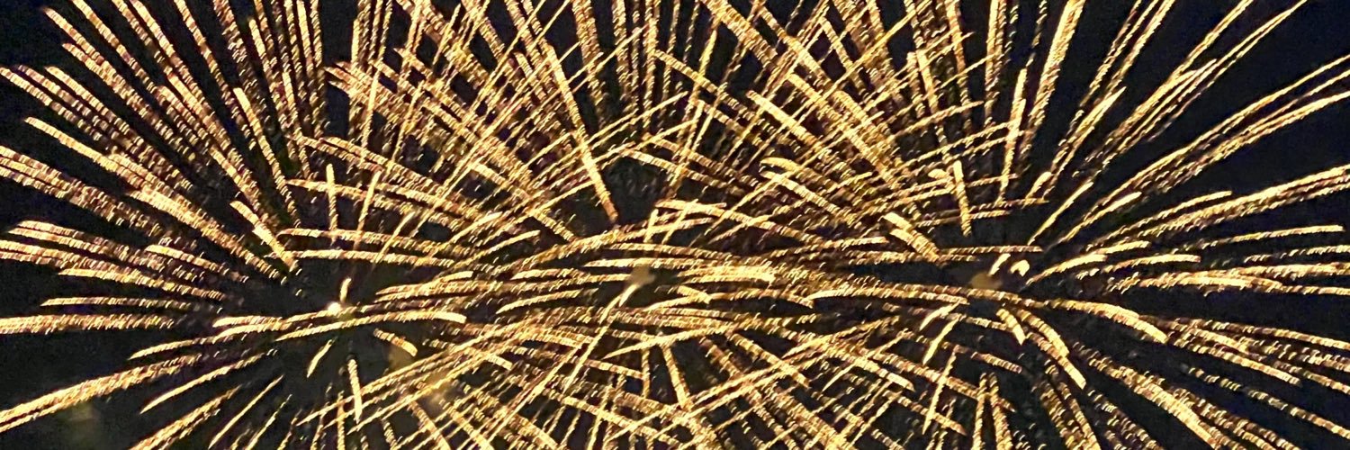 flt982's profile banner image