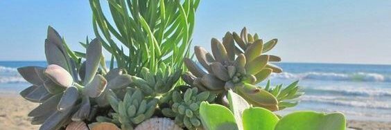 juliagabrielaf_'s profile banner image