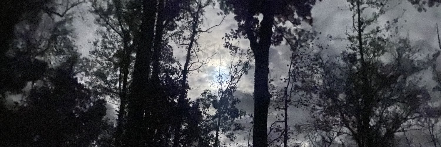 andyadkison's profile banner image