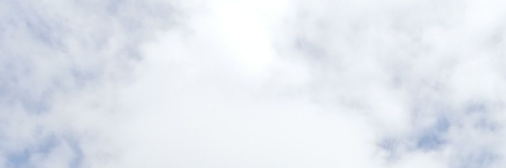 mariaarrellano's profile banner image