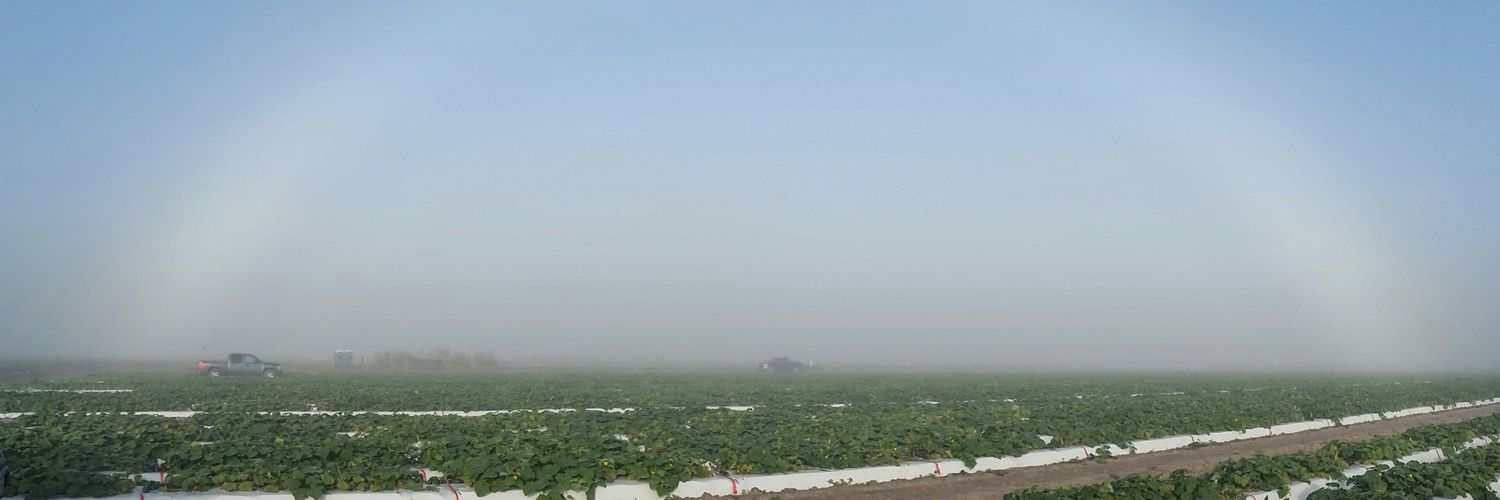 superplantnerd's profile banner image