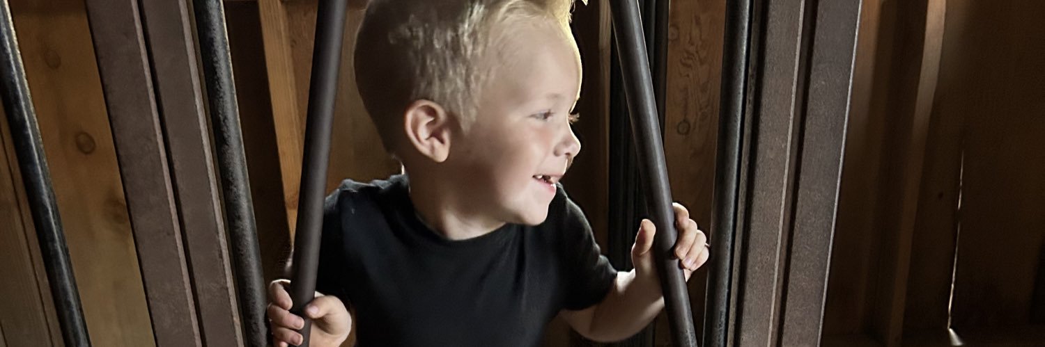 dariiadoee's profile banner image