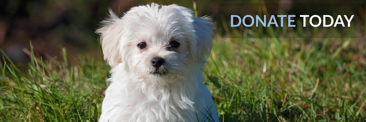 NationalHumane's profile banner image