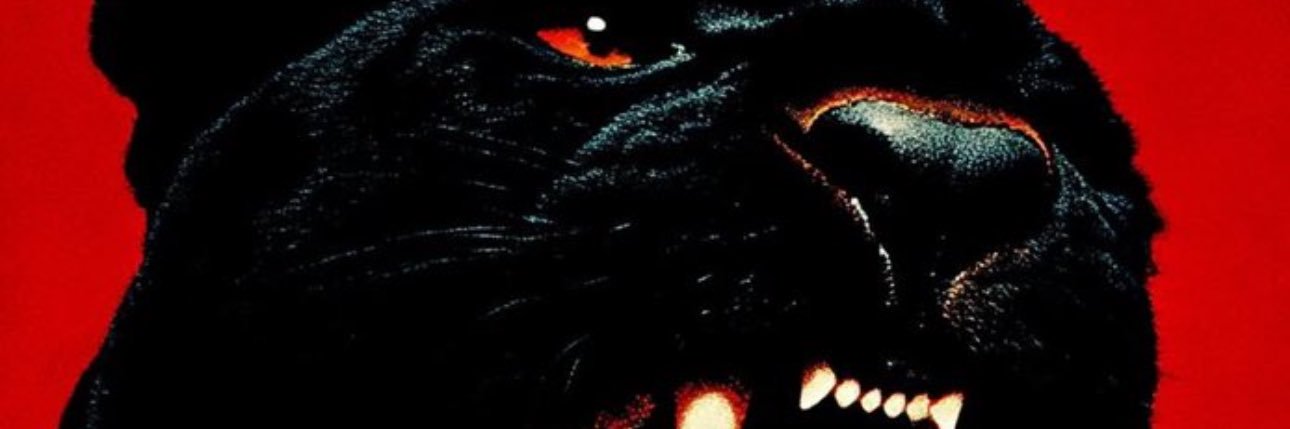 leandrorichelly's profile banner image