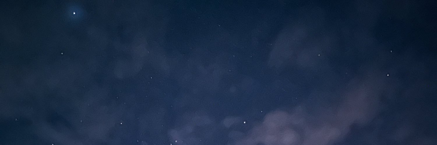 gabirrds's profile banner image