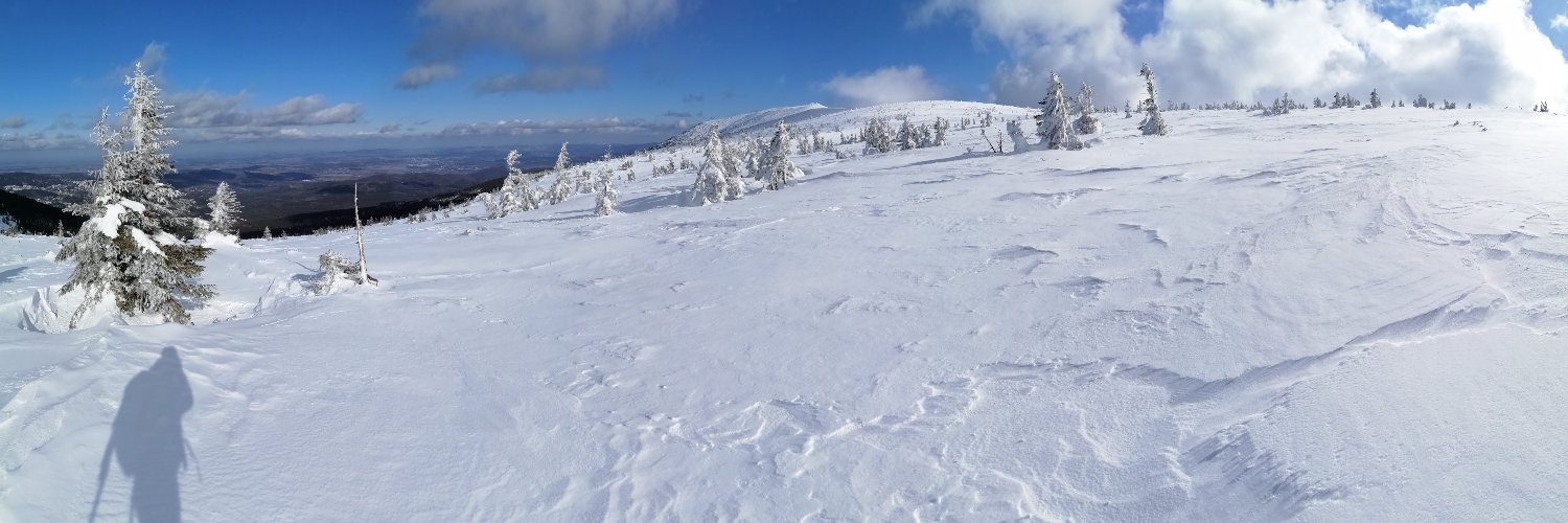 ttarczynski's profile banner image