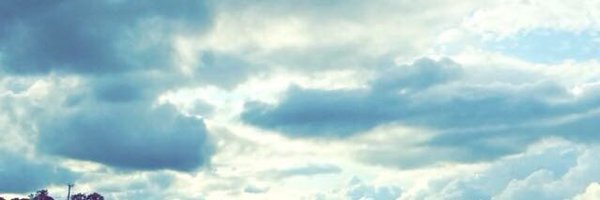 LoftinBrandon Profile Banner