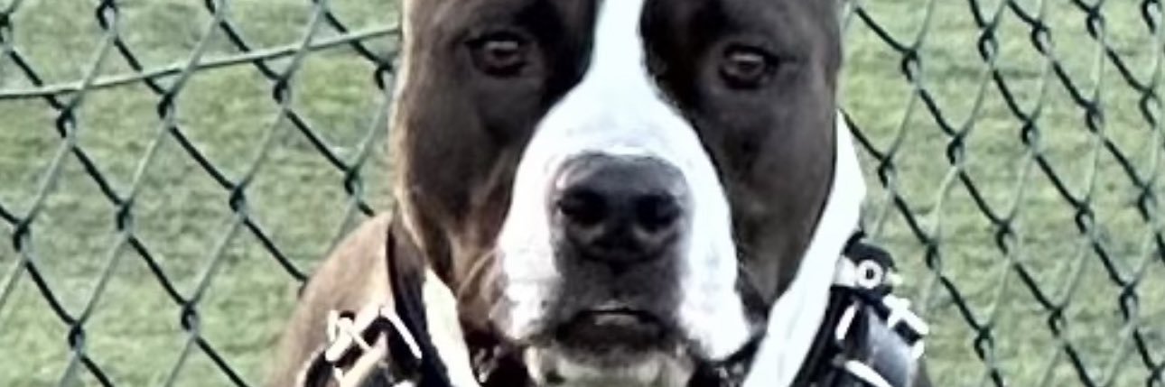 gunesati's profile banner image