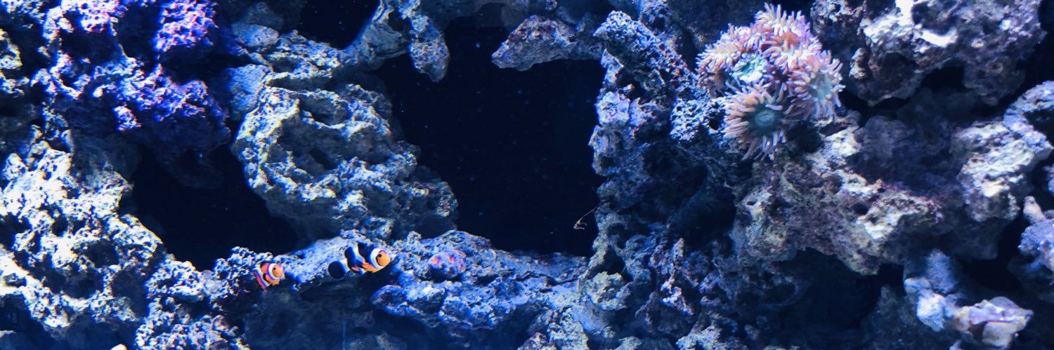phistig's profile banner image